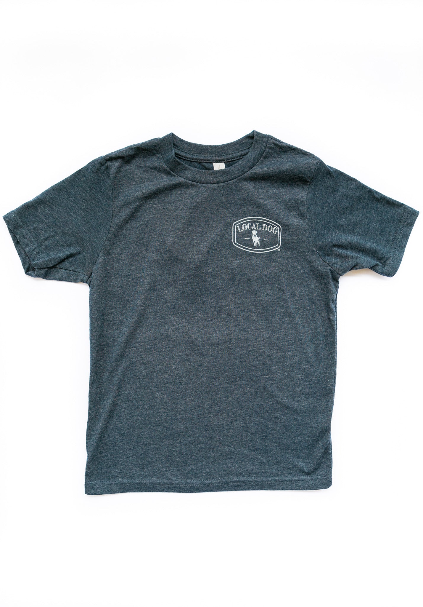 Palmetto State Short Sleeve Youth T-shirt