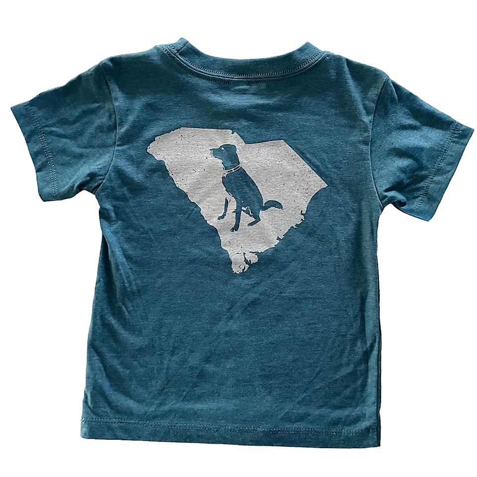 SC Toddler Tee